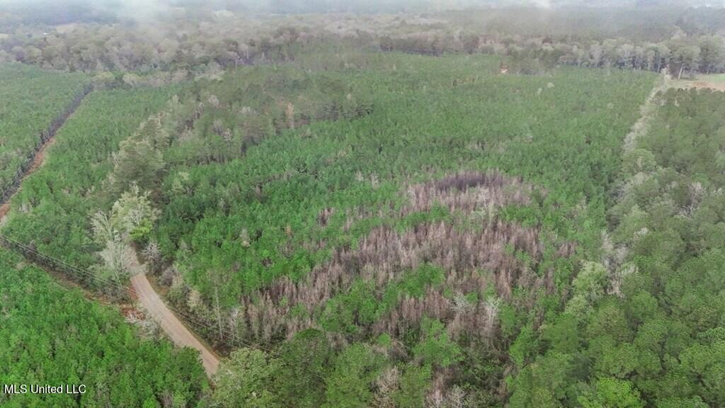 3163 Reeves Road Southeast Bogue Chitto, MS 39629 - Photo 11 of 14 f8d88ade-b684-4e02-912c-43151657d5f0
