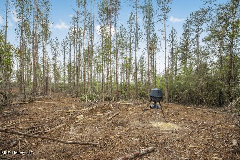 3163 Reeves Road Southeast Bogue Chitto, MS 39629 - Photo 3 of 14 143583_10