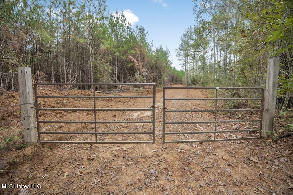 3163 Reeves Road Southeast Bogue Chitto, MS 39629 - Photo 4 of 14 143583_12
