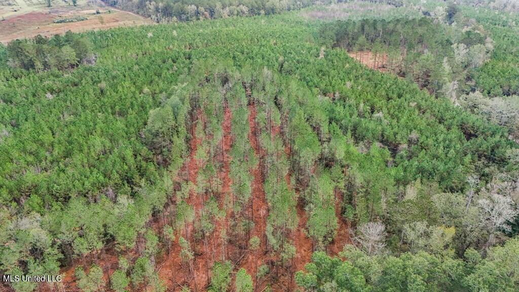 3163 Reeves Road Southeast Bogue Chitto, MS 39629 - Photo 5 of 14 143583_16