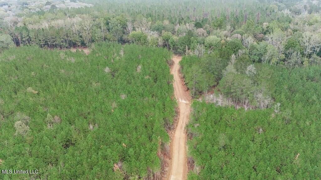 3163 Reeves Road Southeast Bogue Chitto, MS 39629 - Photo 7 of 14 470e1aa1-9618-4813-80d7-f9065614bd2c