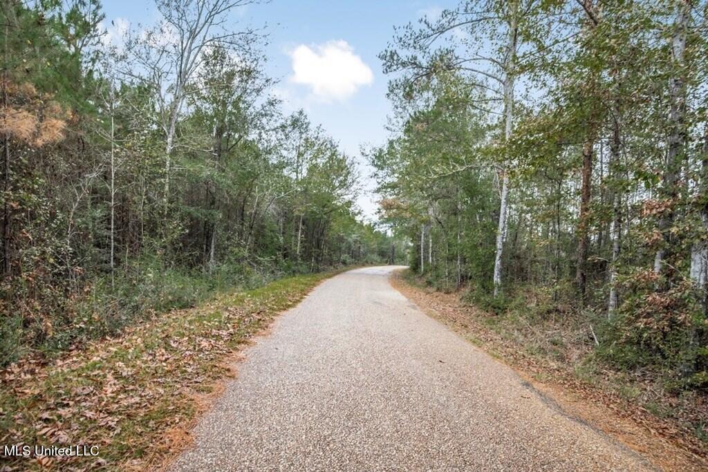 3163 Reeves Road Southeast Bogue Chitto, MS 39629 - Photo 8 of 14 4083b810-d9ce-4729-9cd2-e8fafccc3de6