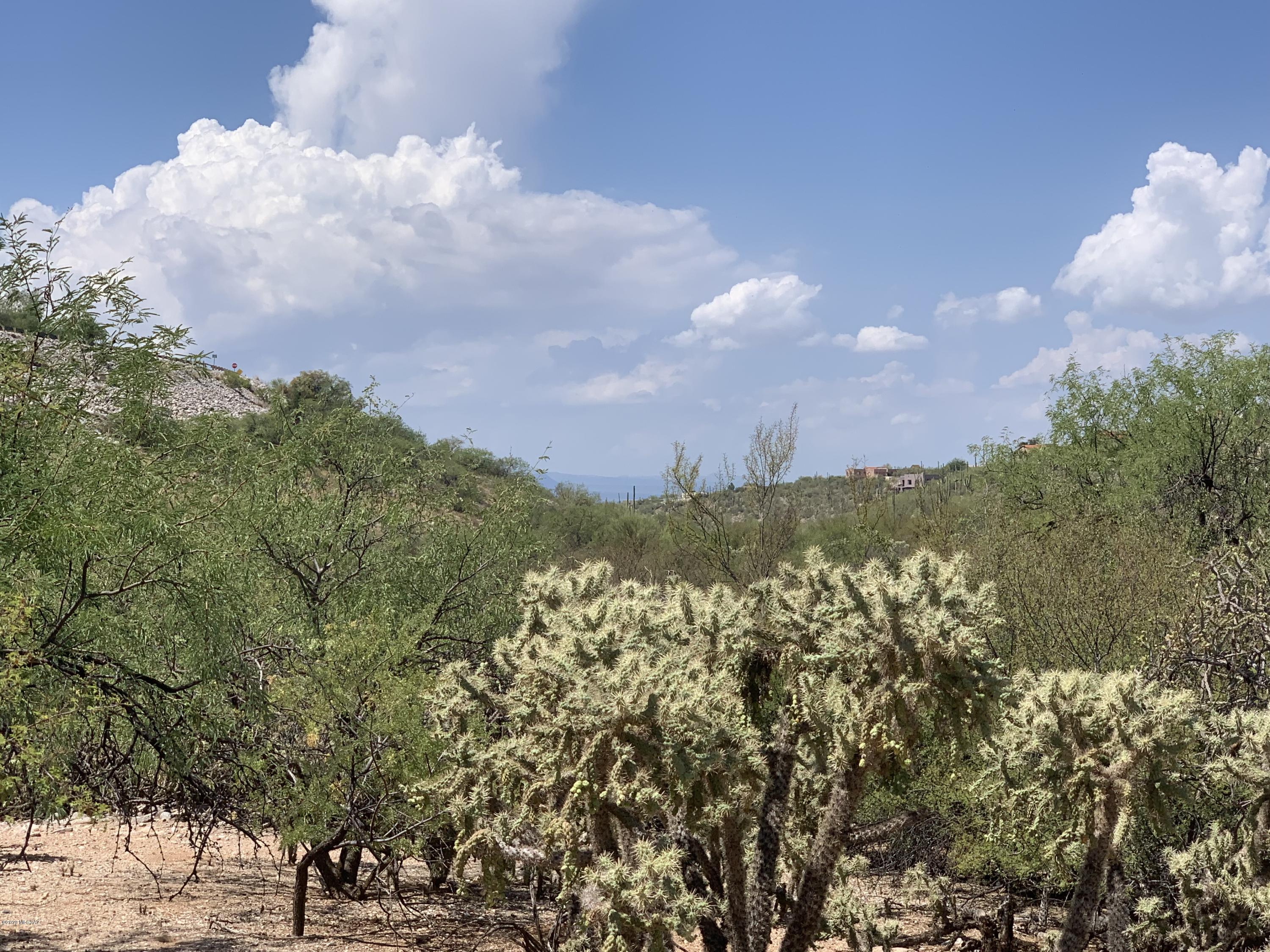 6774 East Snyder Road, Unit 16 Tucson, AZ 85750 - Photo 12 of 13