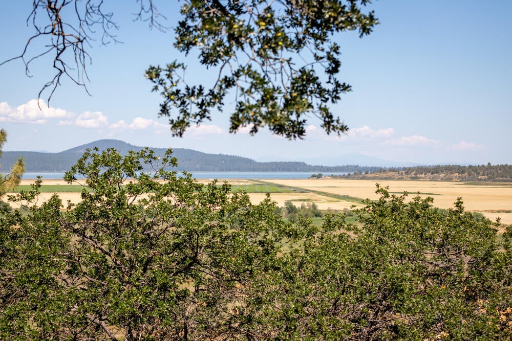 11833 Kestrel Road Klamath Falls, OR 97601 - Photo 69 of 88 11833KestrelRd.-1-2