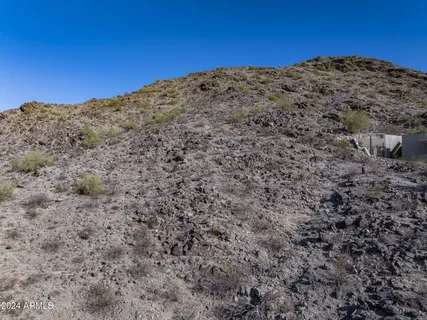 a view of a large tree with green field