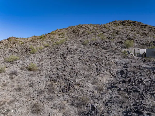 a view of a large tree with green field