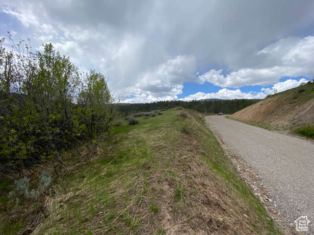 41 Grouse Loop Road, Unit 41 Freedom, WY 83120 - Photo 29 of 33 View of asphalt street