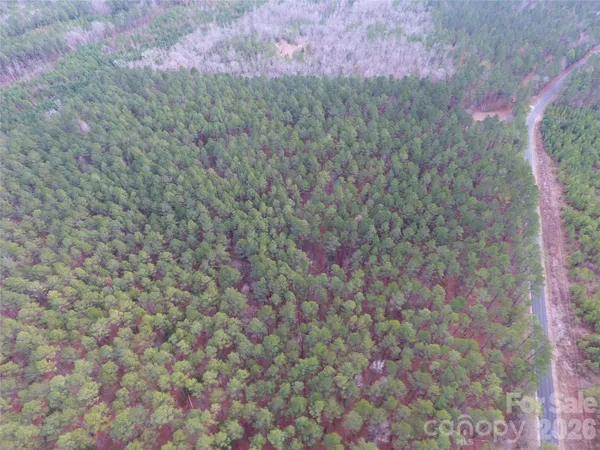 a view of a dry yard