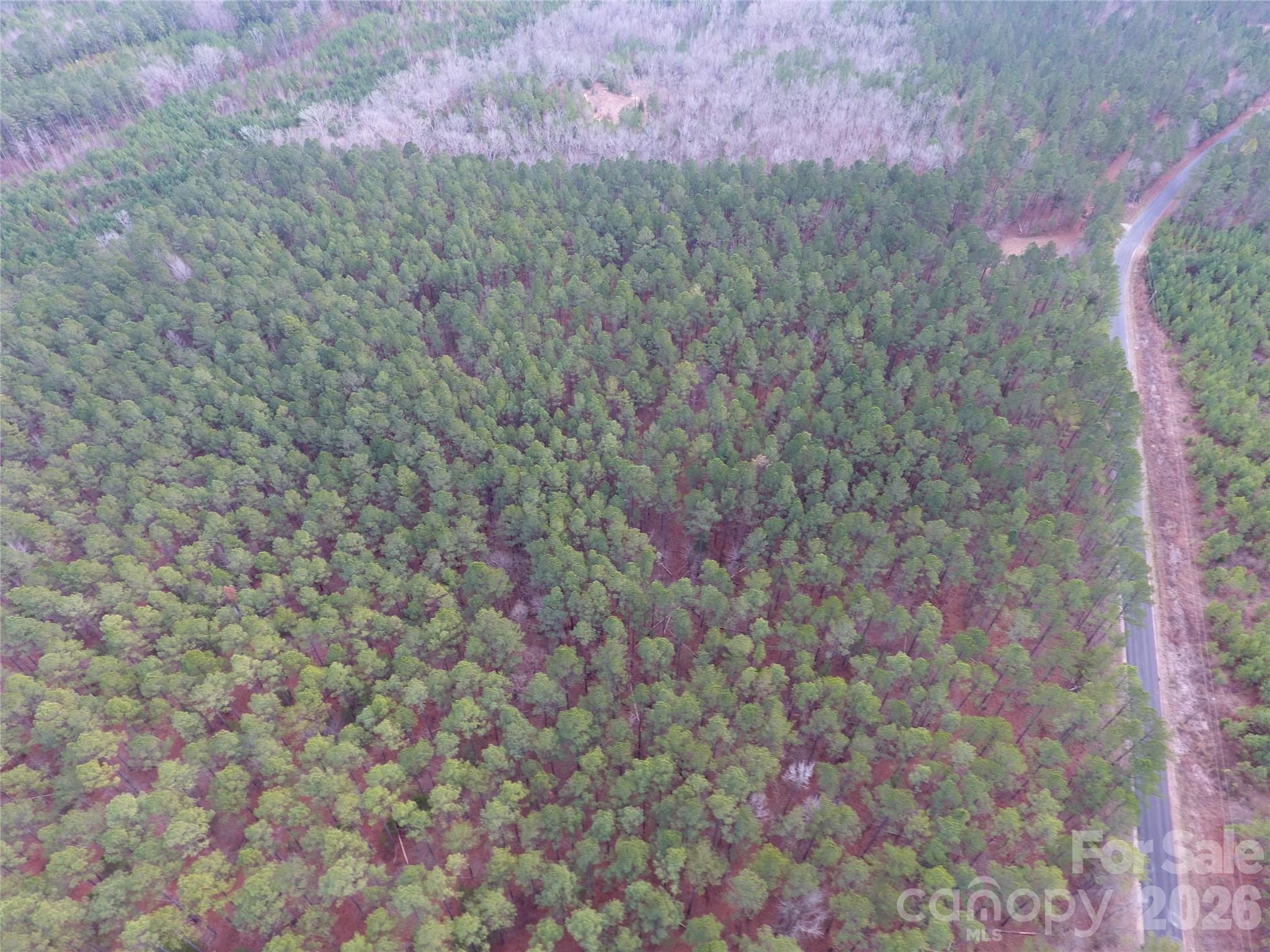 734 Great North Road Winnsboro, SC 29180 - Photo 12 of 31 a close up of a plant