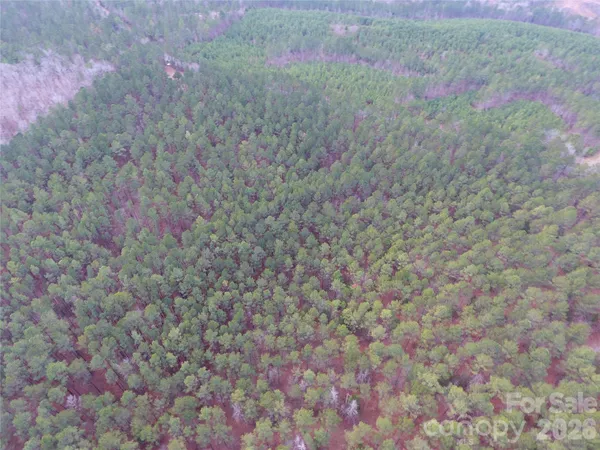 a view of a dry yard