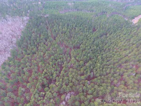 a view of a dry yard