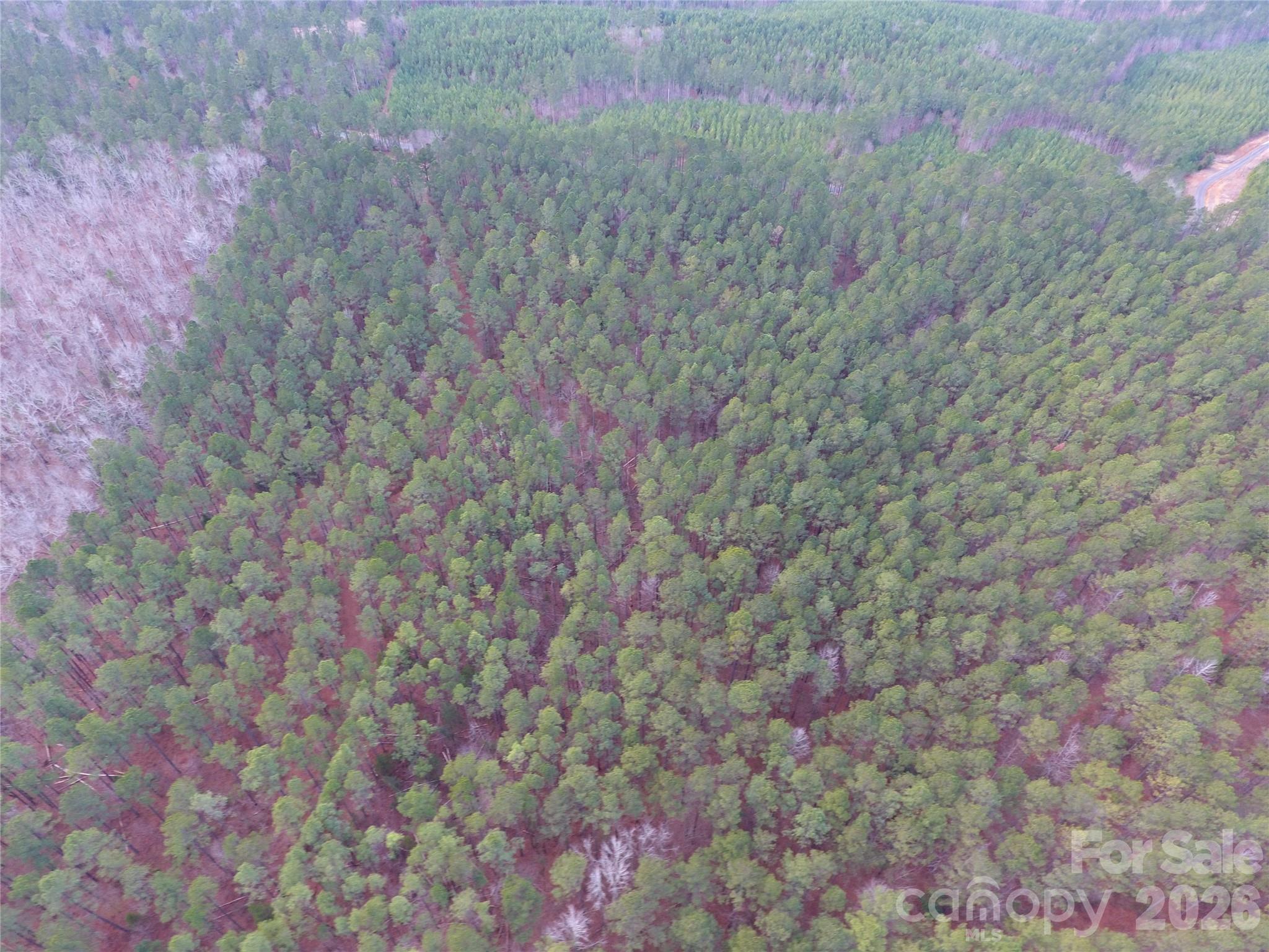 734 Great North Road Winnsboro, SC 29180 - Photo 15 of 31