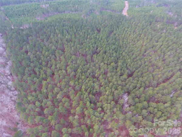 a view of a dry yard