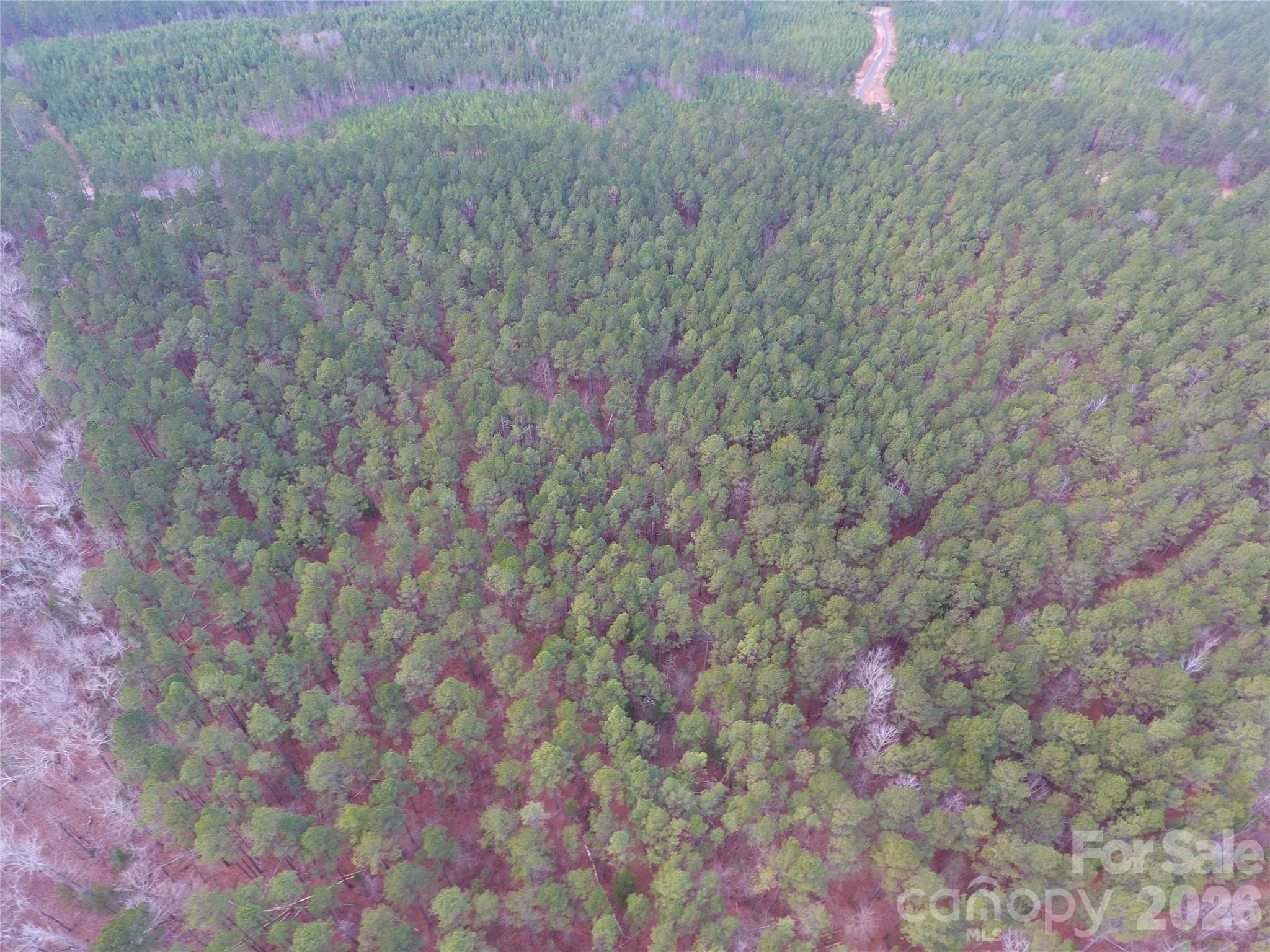 734 Great North Road Winnsboro, SC 29180 - Photo 16 of 31 a view of a dry yard