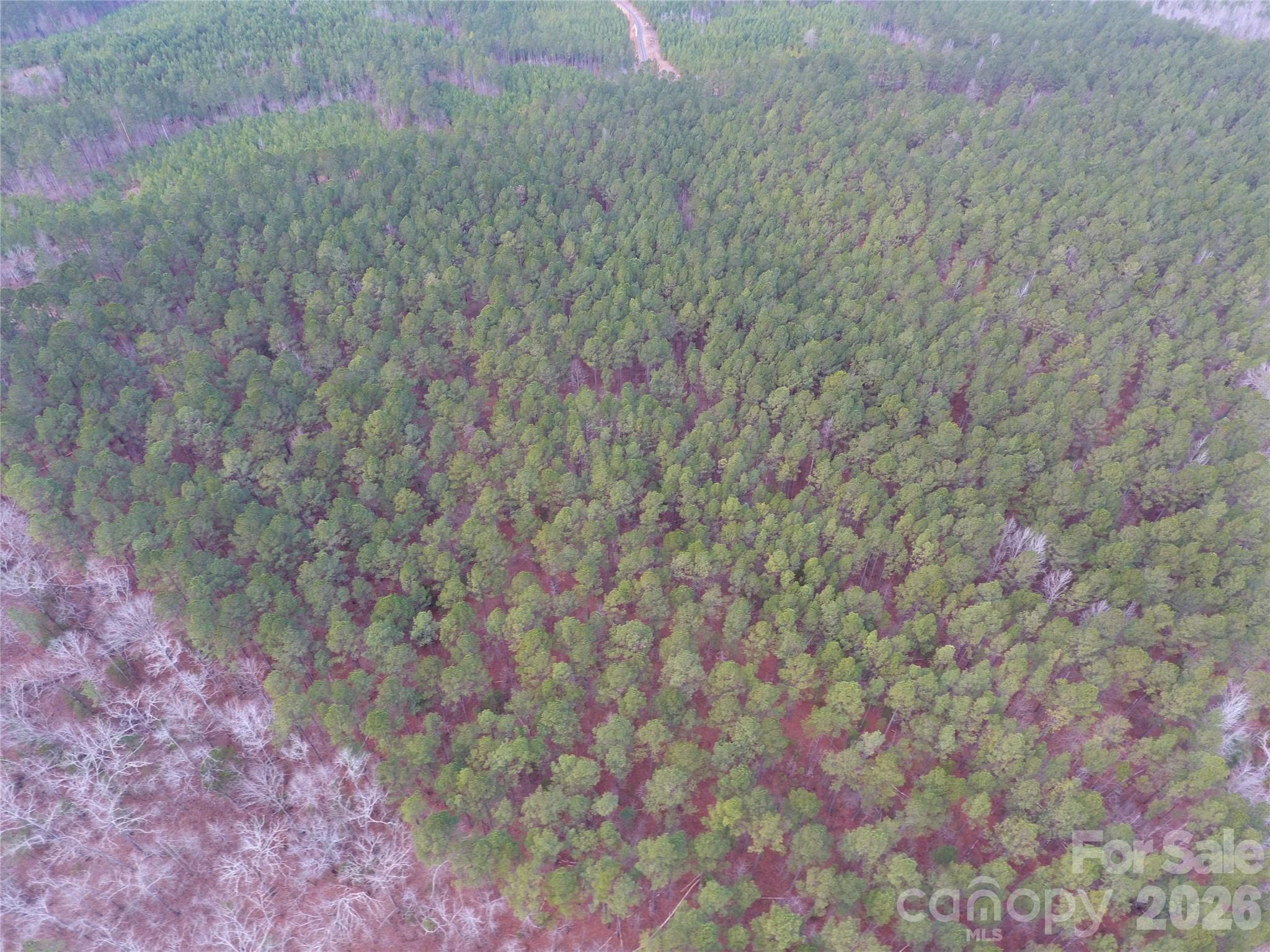734 Great North Road Winnsboro, SC 29180 - Photo 17 of 31 a view of a dry yard