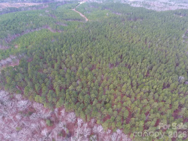 a view of a yard with plants