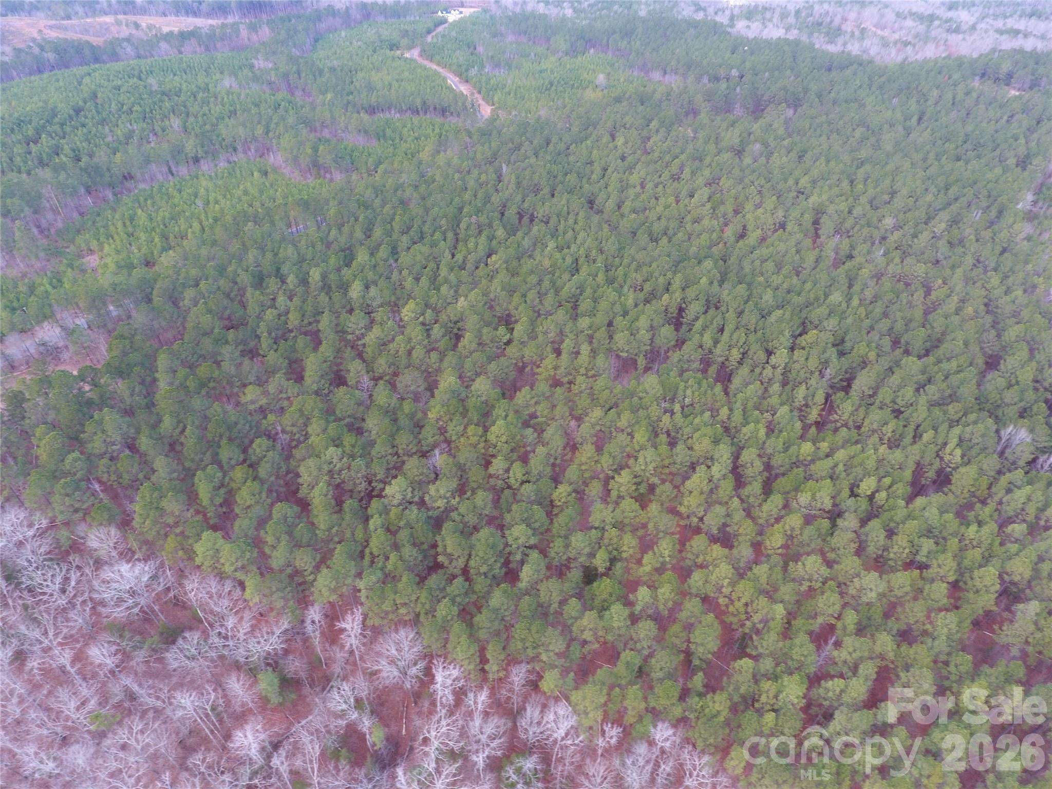 734 Great North Road Winnsboro, SC 29180 - Photo 18 of 31 a view of a dry yard