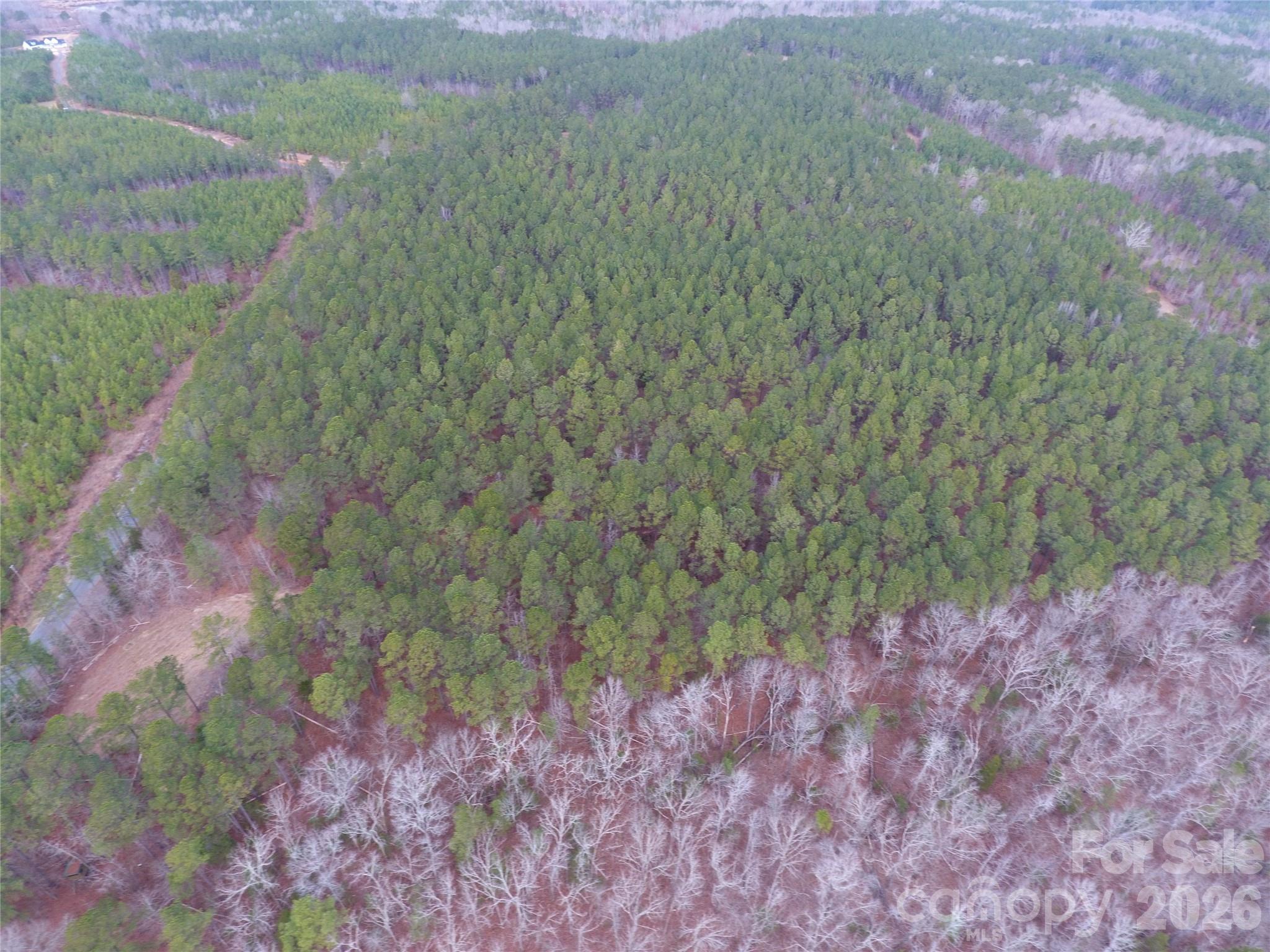734 Great North Road Winnsboro, SC 29180 - Photo 19 of 31 a view of a yard with a tree