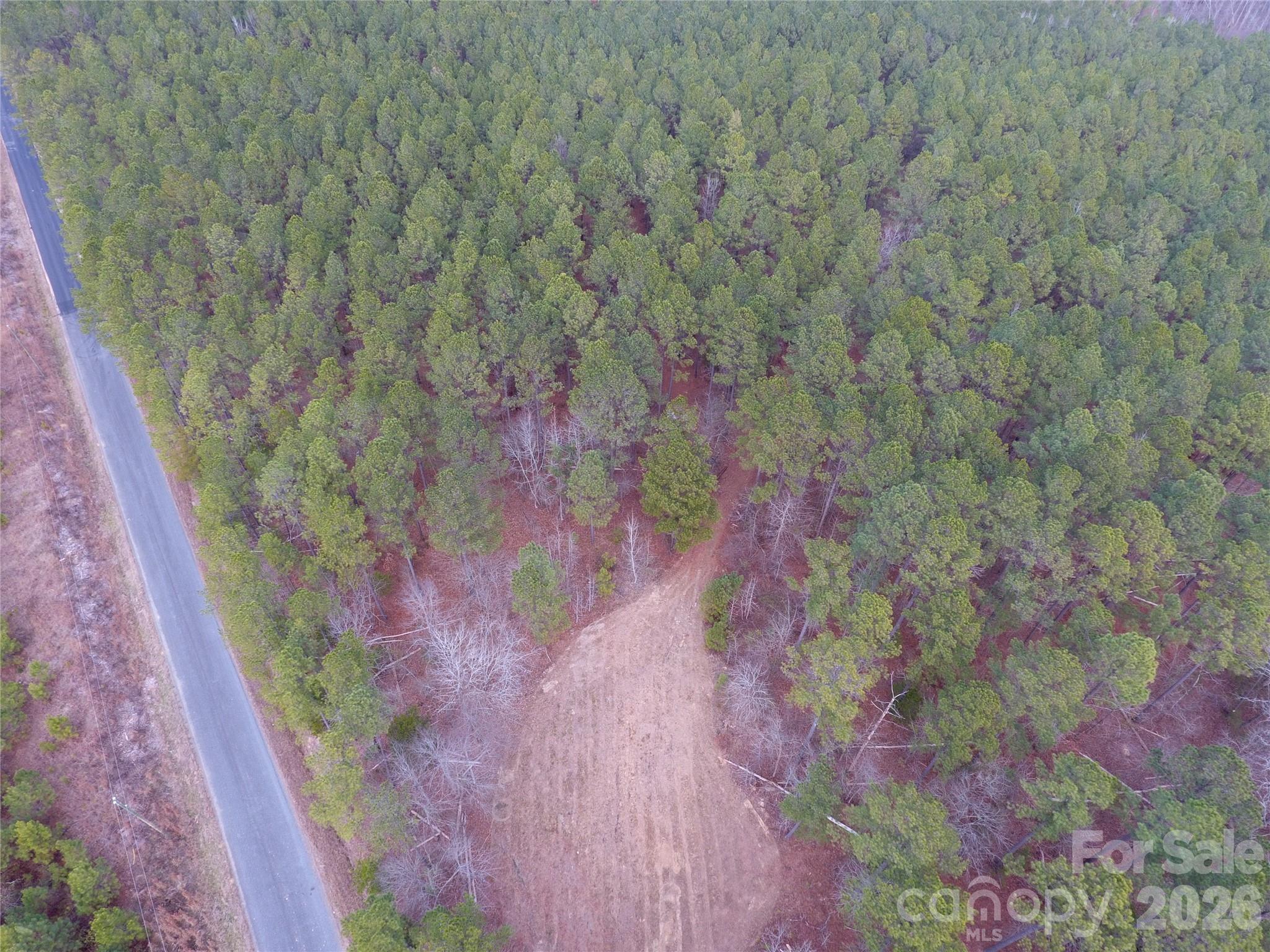 734 Great North Road Winnsboro, SC 29180 - Photo 2 of 31 a view of a forest