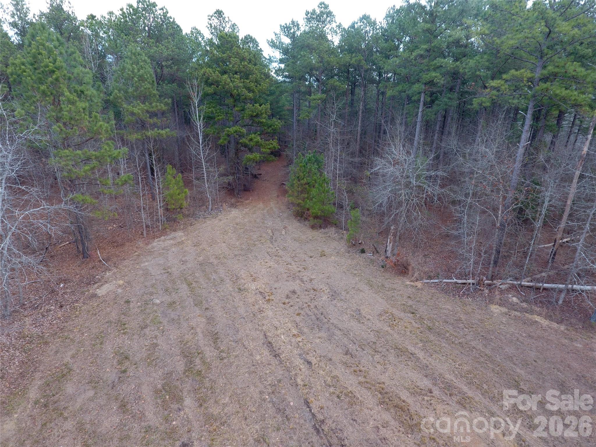 734 Great North Road Winnsboro, SC 29180 - Photo 22 of 31 a view of a yard with a tree