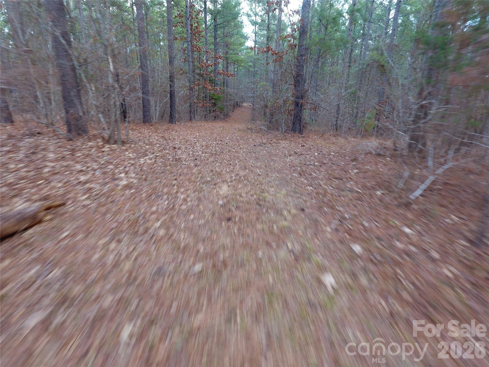 734 Great North Road Winnsboro, SC 29180 - Photo 24 of 31 a view of a backyard with trees