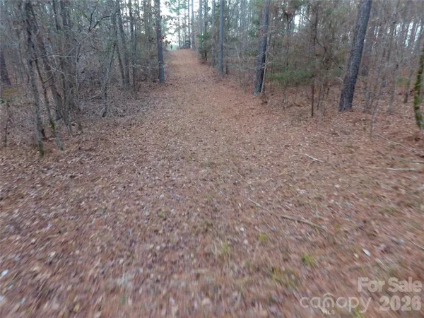 a view of a open space with trees