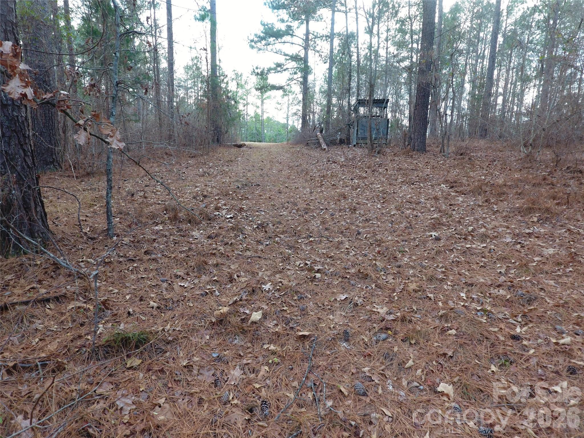 734 Great North Road Winnsboro, SC 29180 - Photo 29 of 31 a view of a yard with lots of trees