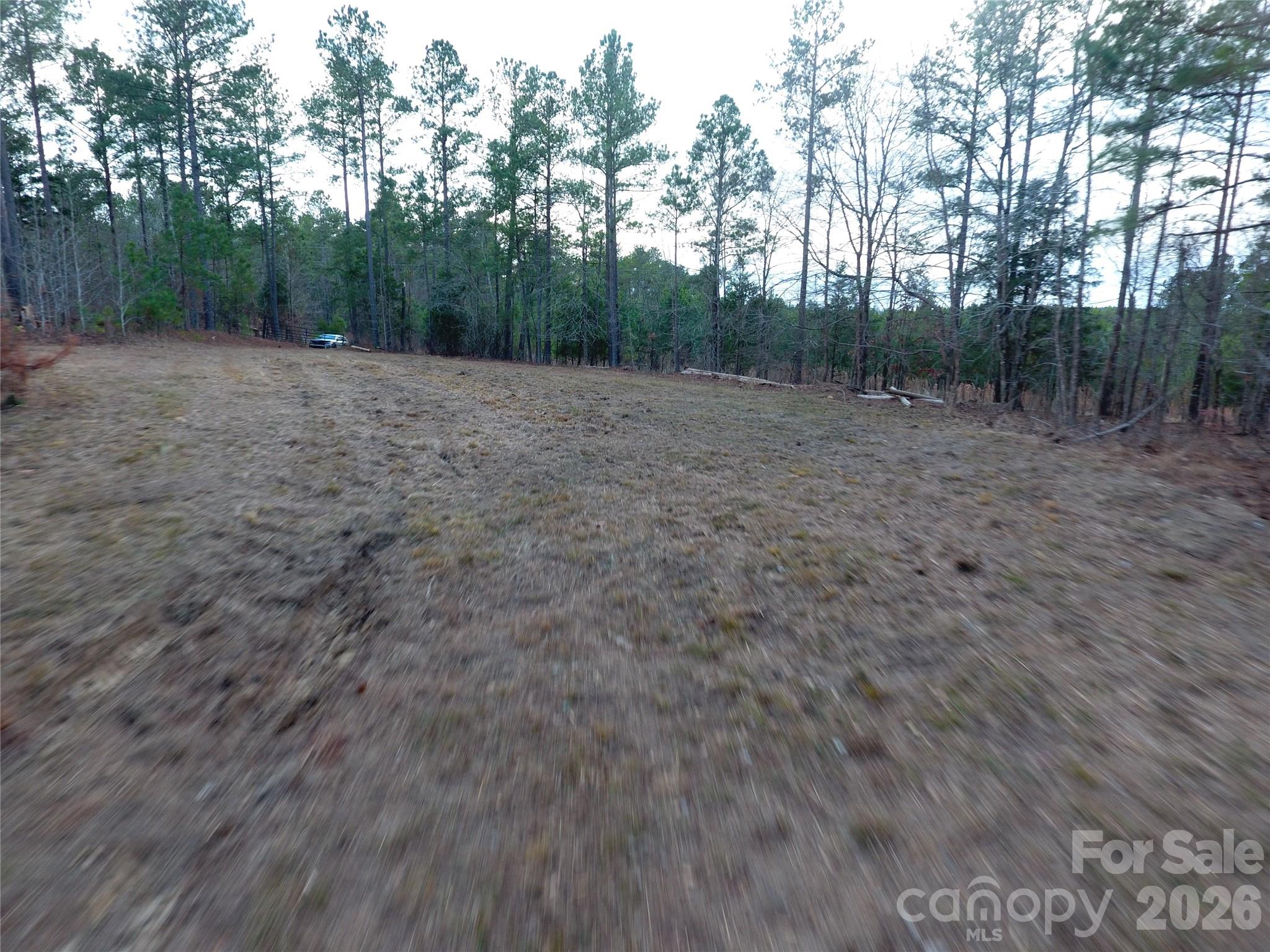 734 Great North Road Winnsboro, SC 29180 - Photo 30 of 31 a view of a open space with trees