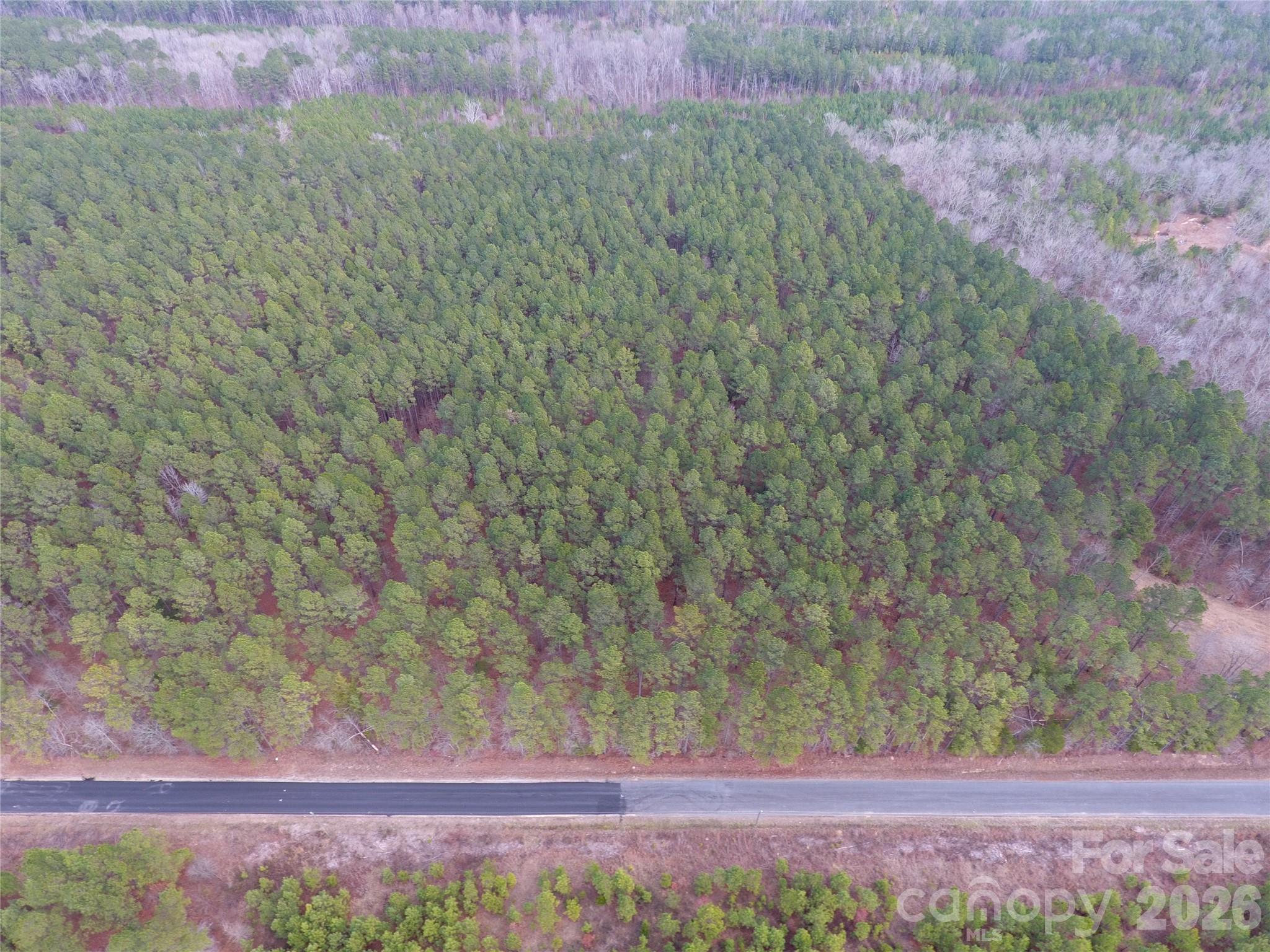734 Great North Road Winnsboro, SC 29180 - Photo 6 of 31 a view of a yard