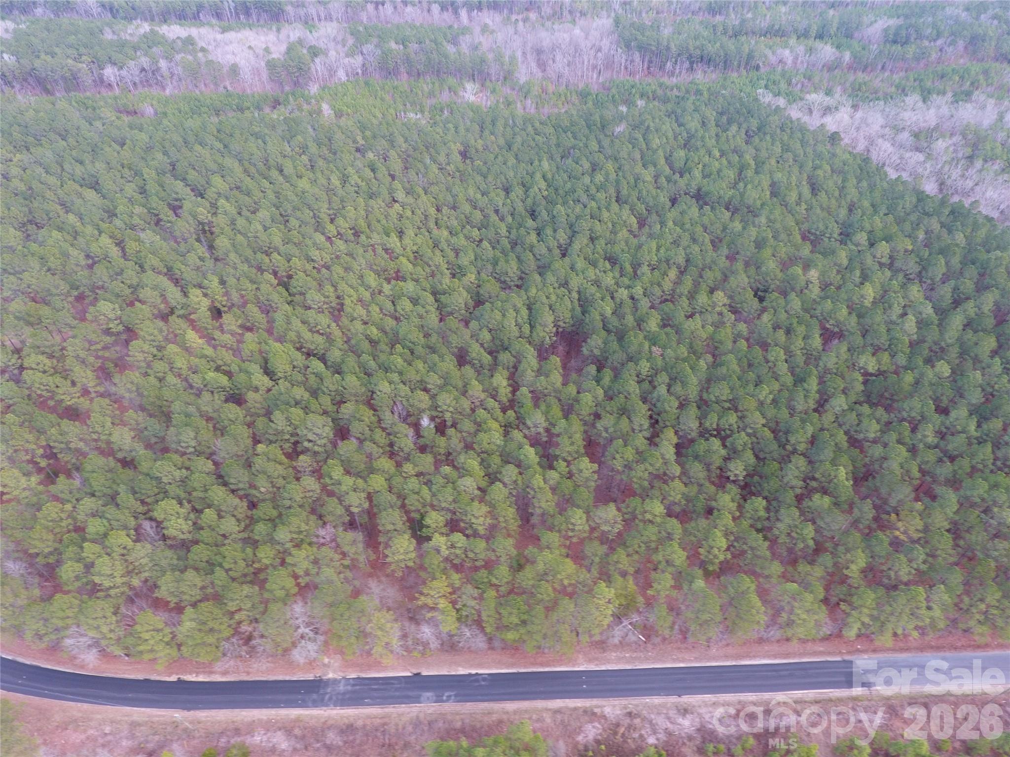 734 Great North Road Winnsboro, SC 29180 - Photo 7 of 31 a view of a yard