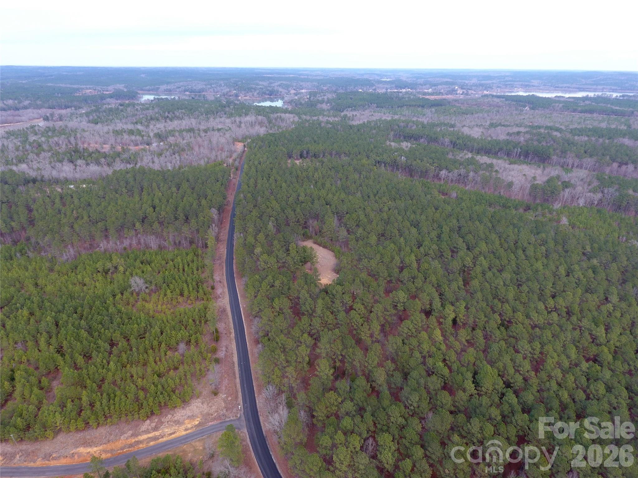 734 Great North Road Winnsboro, SC 29180 - Photo 8 of 31 a view of a lush green field