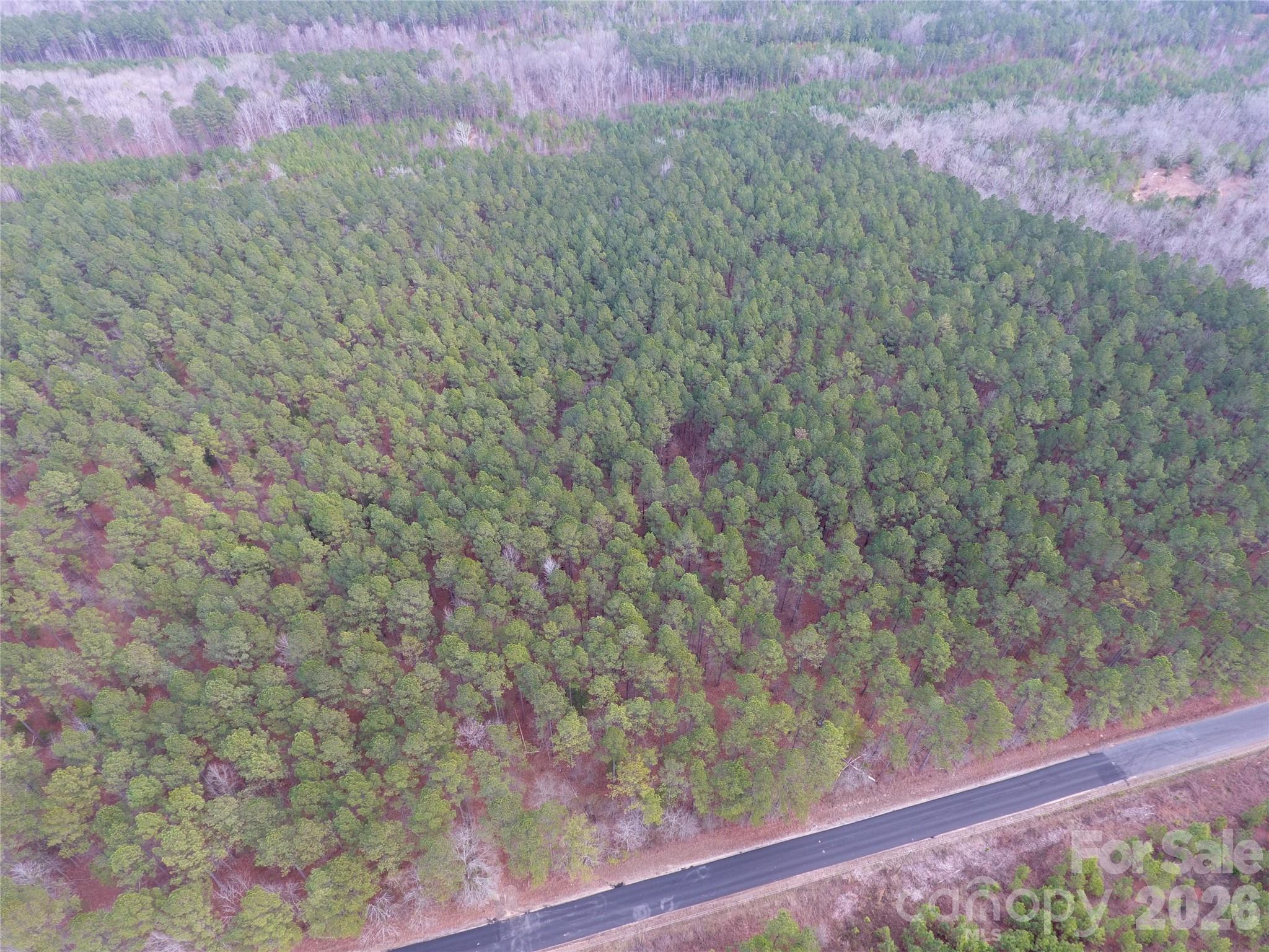 734 Great North Road Winnsboro, SC 29180 - Photo 9 of 31 a view of a yard