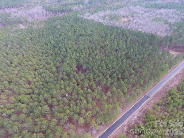 a close up of a plant