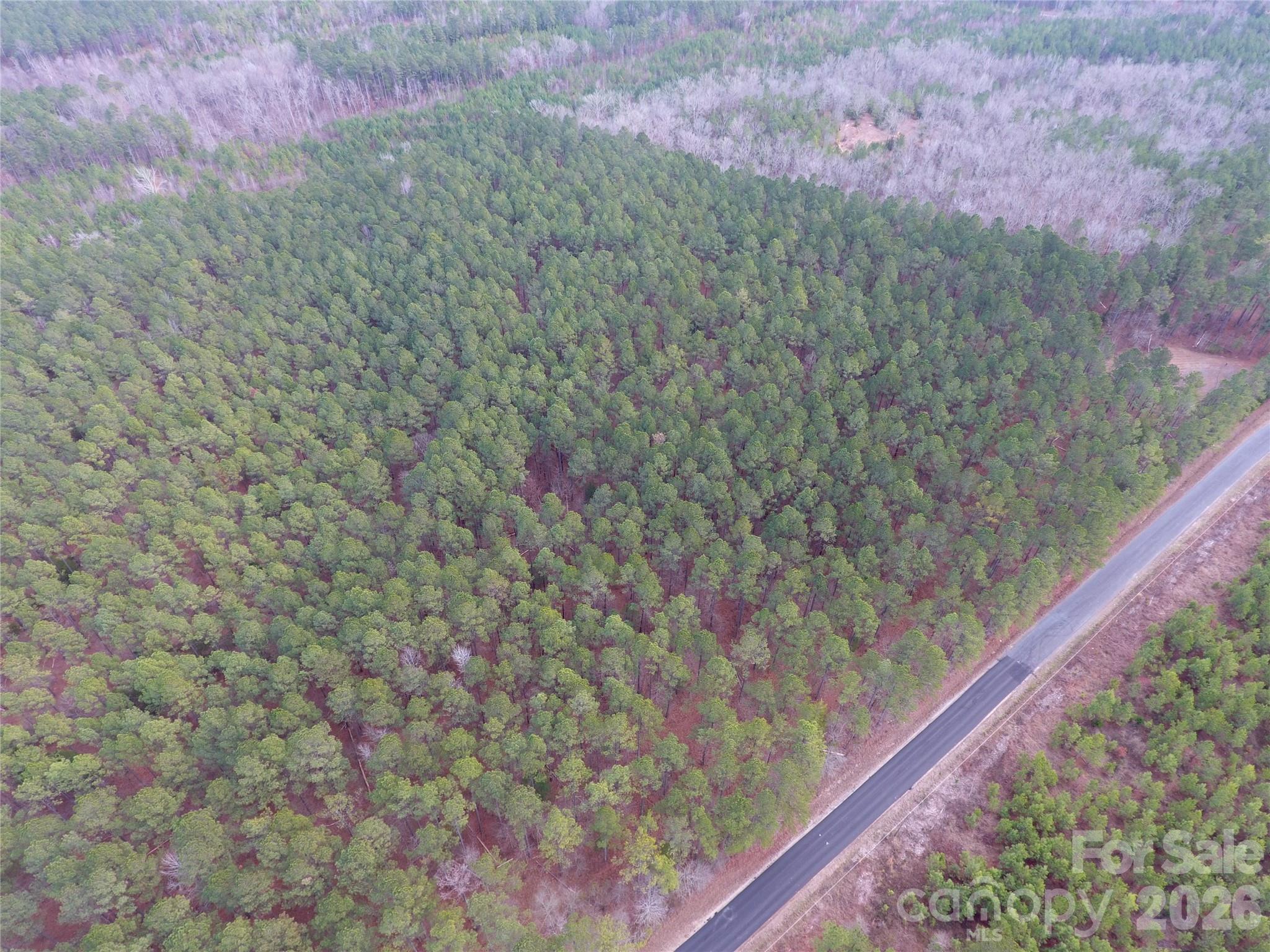 734 Great North Road Winnsboro, SC 29180 - Photo 10 of 31