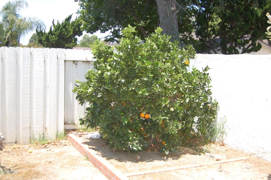 301 Geranium Place Oxnard, CA 93036 - Photo 10 of 11 DSC_1123