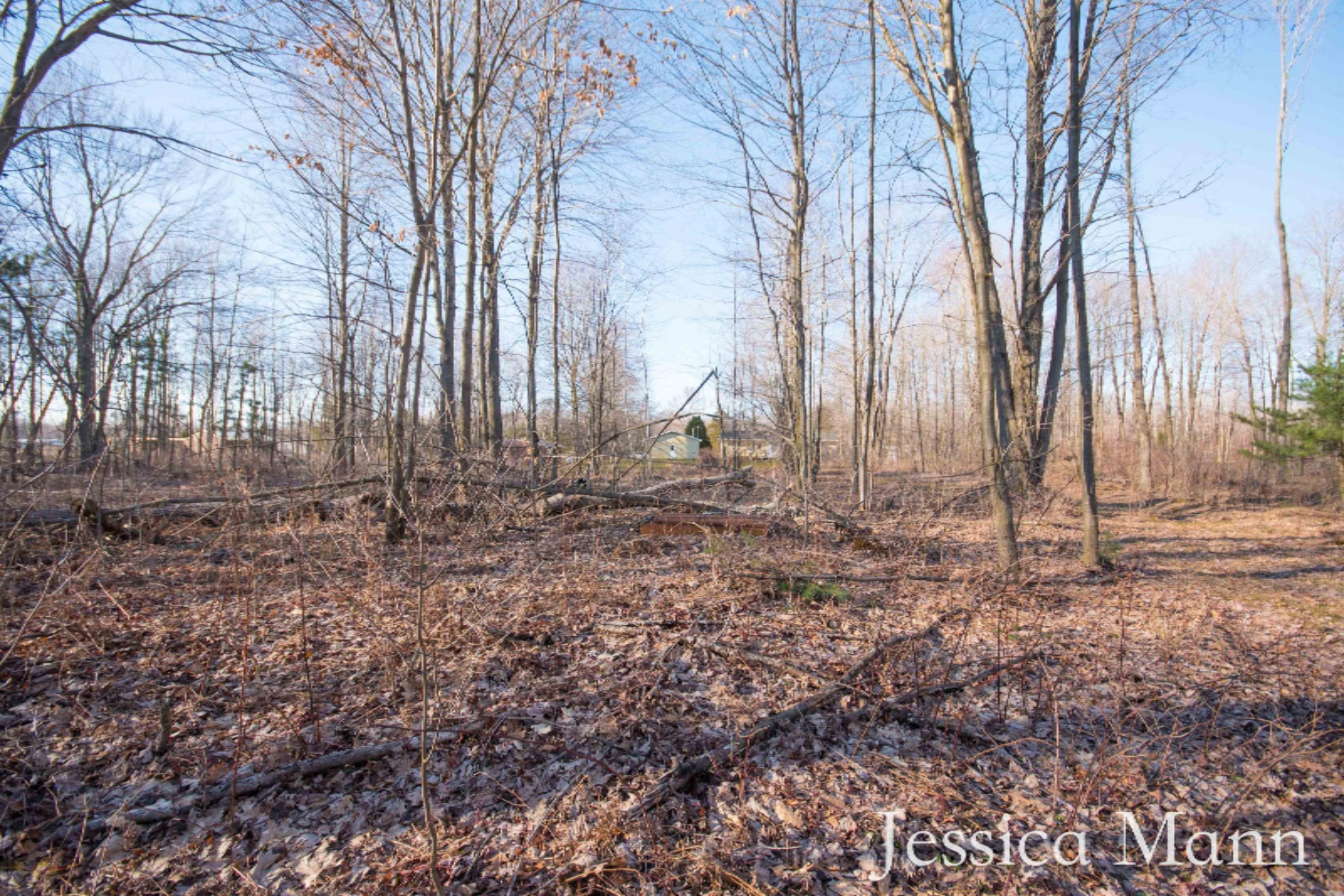 11851 Bailey Road Ravenna, MI 49451 - Photo 29 of 29 KHP_9140 (1)