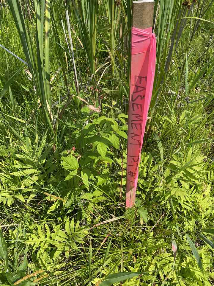 0 Briggs Road Omer, MI 48749 - Photo 16 of 45