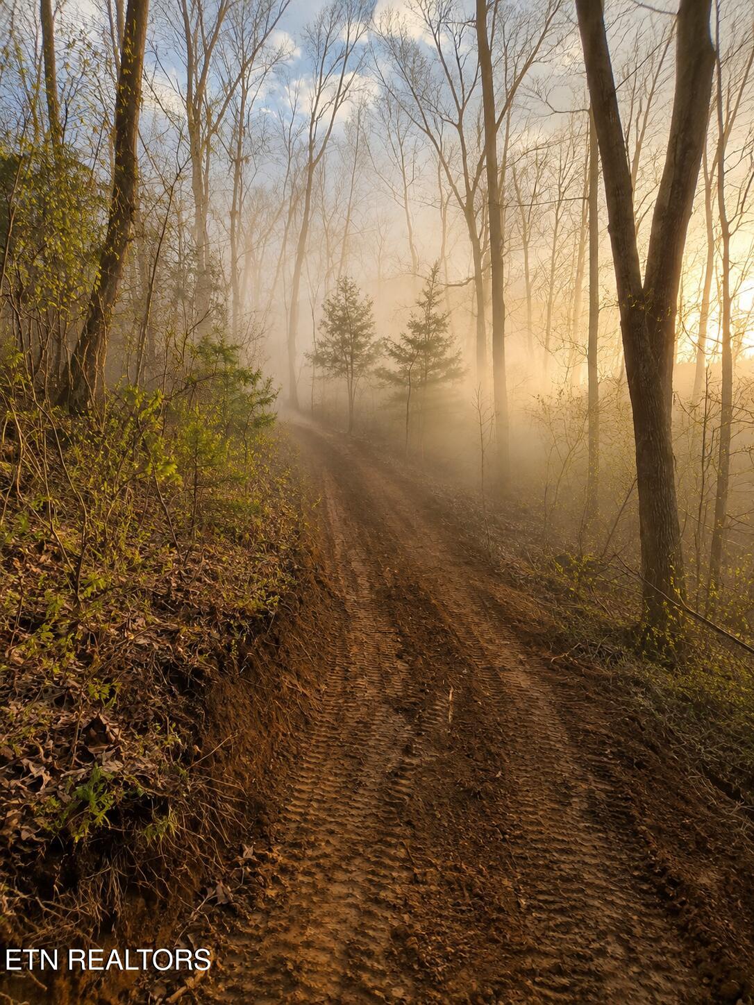 2453 Lower Rinehart Road Dandridge, TN 37725 - Photo 11 of 37 Walking and ATV Trails on your Property