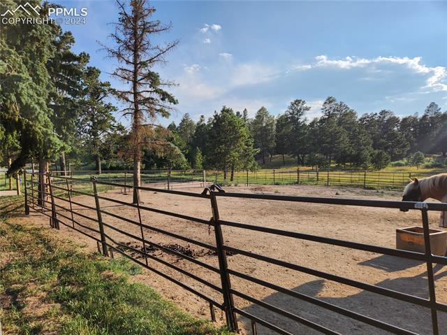 5350 Shoup Road Colorado Springs, CO 80908 - Photo 10 of 13 Gallery Image 10