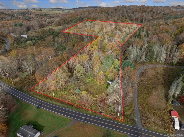 $175,000 | 22 Highway 52A, Callicoon, NY 12723