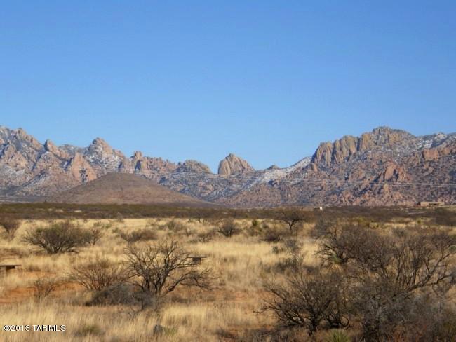 Lot 65 East Horse Ranch Road, Unit 65 St. David, AZ 85630 - Photo 6 of 17