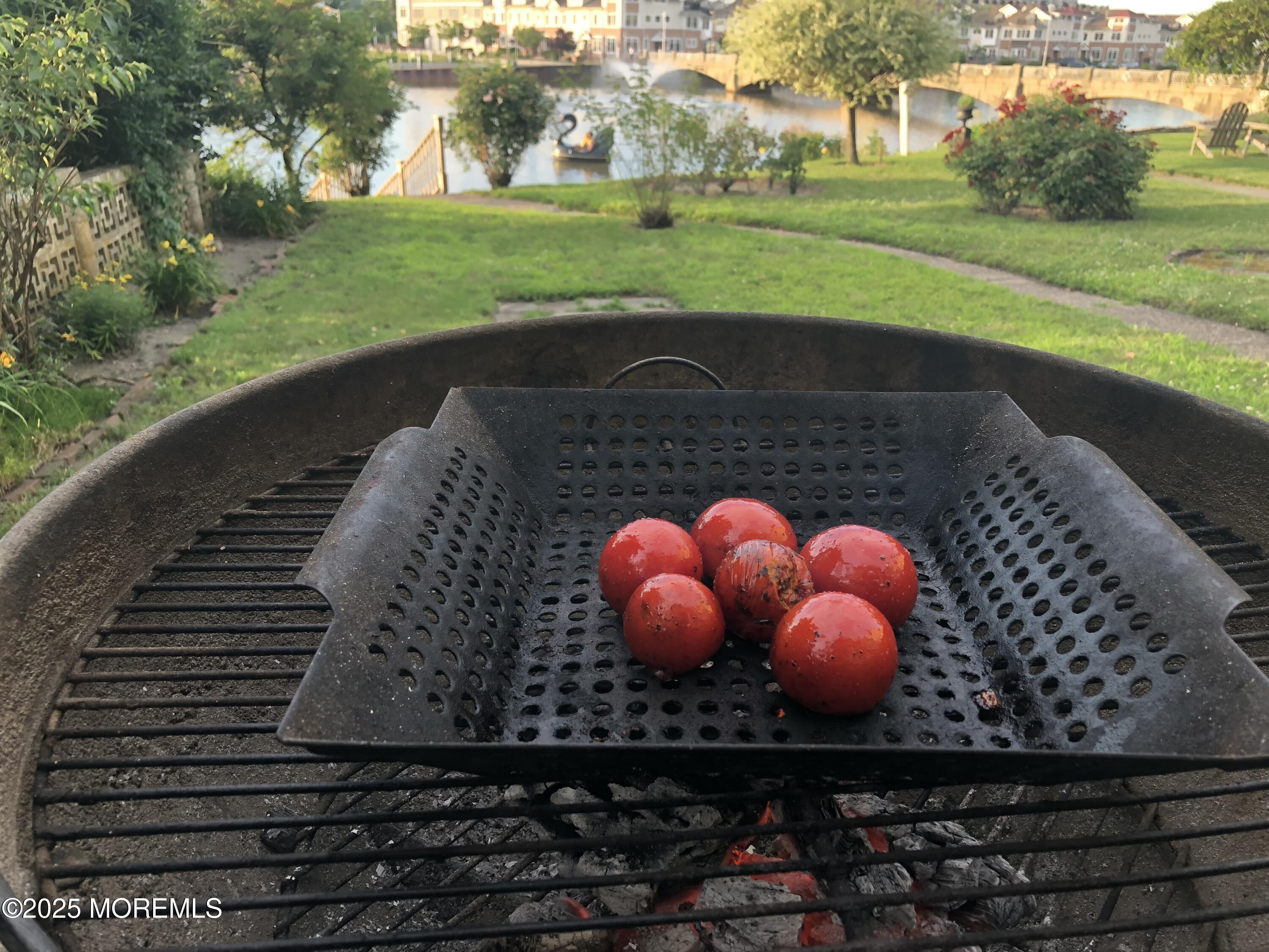 60 Lake Avenue Ocean Grove, NJ 07756 - Photo 62 of 66 a view of a back yard of the house and green space