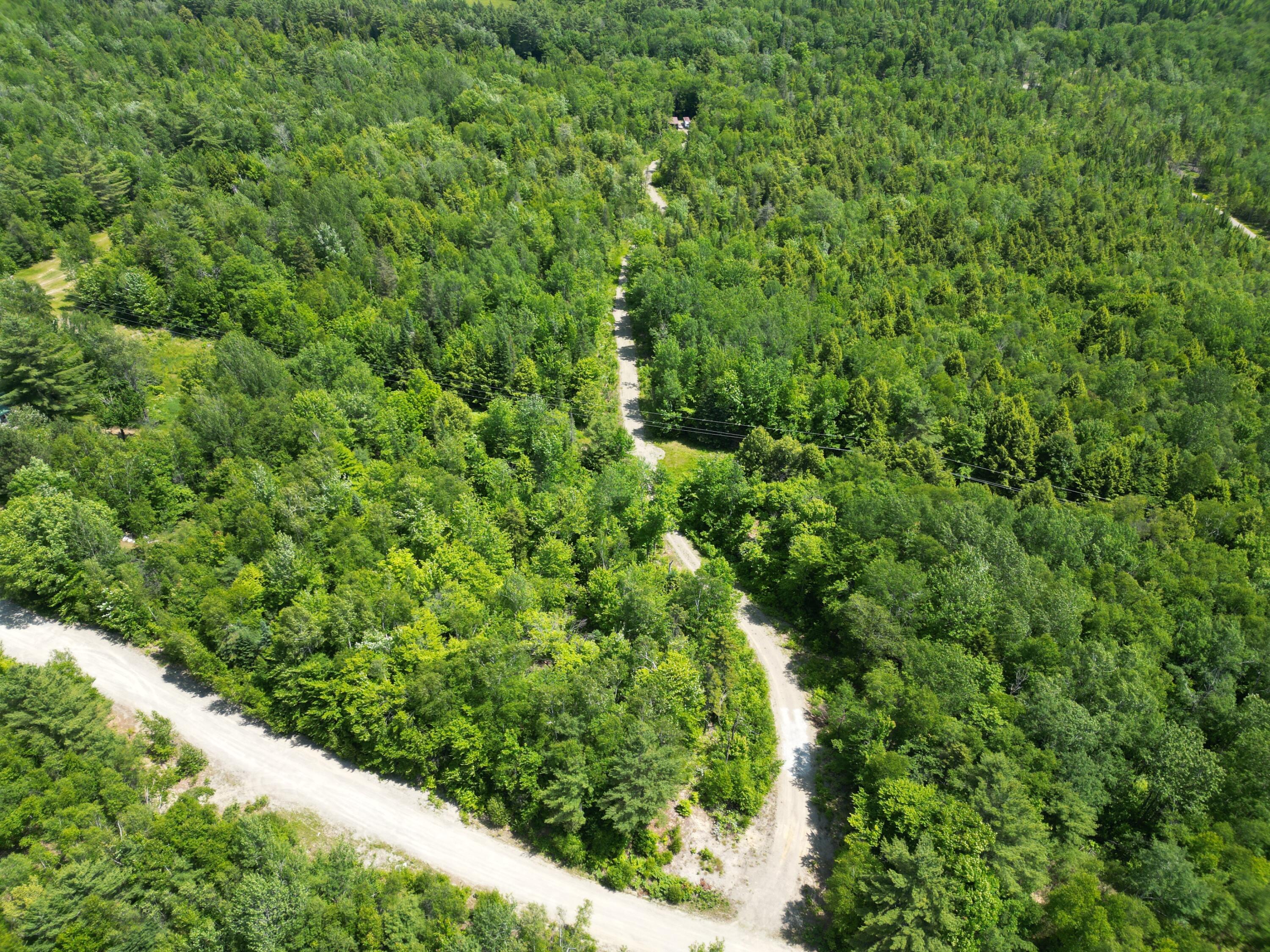Lot 1 Keene Road Lincoln, ME 04457 - Photo 15 of 22 DJI_0316