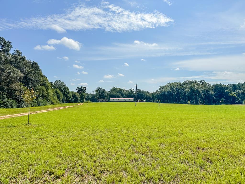 543 St Stephens Road Slocomb, AL 36375 - Photo 4 of 22