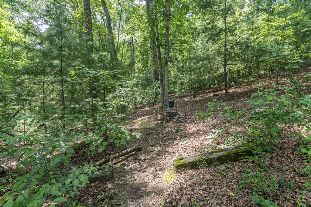 250 Taylor Hensen Road Murphy, NC 28906 - Photo 33 of 39 Gallery Image 33