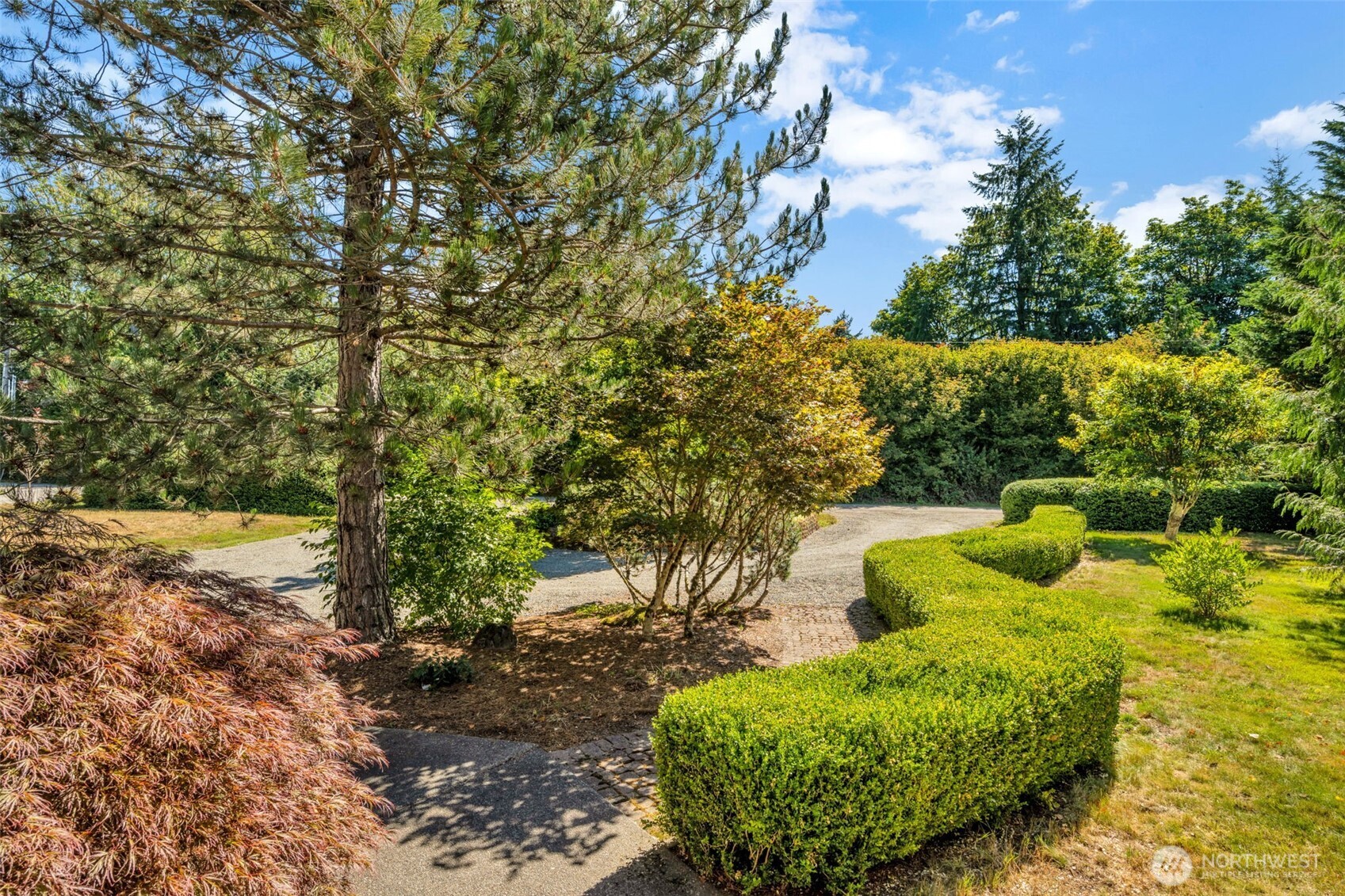 18005 252nd Avenue Southeast Maple Valley, WA 98038 - Photo 26 of 40 a view of a garden with plants