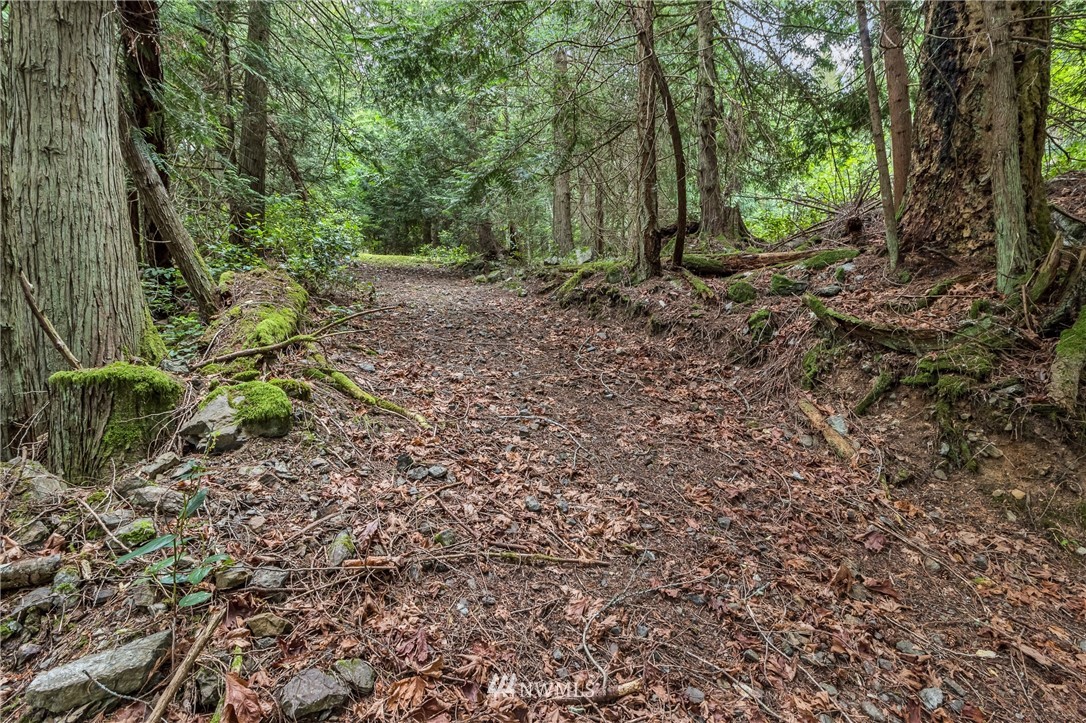 111 Tides Run Road Shaw Island, WA 98286 - Photo 16 of 25 Gallery Image 16