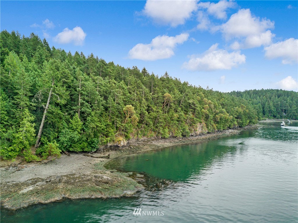 111 Tides Run Road Shaw Island, WA 98286 - Photo 17 of 25 Gallery Image 17