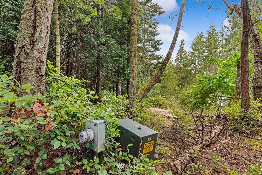 111 Tides Run Road Shaw Island, WA 98286 - Photo 23 of 25 Gallery Image 23