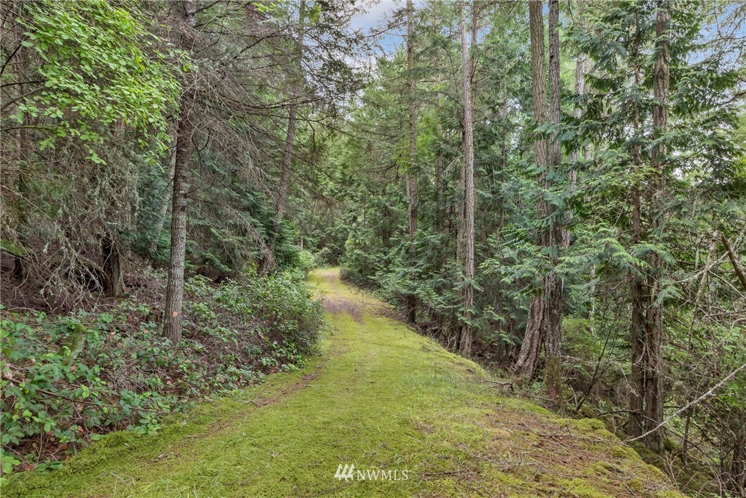 111 Tides Run Road Shaw Island, WA 98286 - Photo 25 of 25 Gallery Image 25